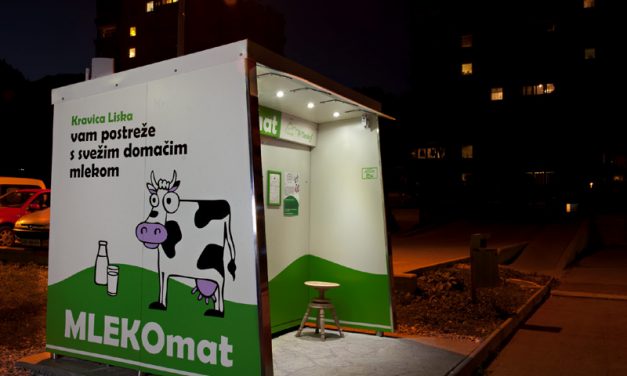 Ekološka gorska kmetija pr’Demšari Martinj Vrh Železniki