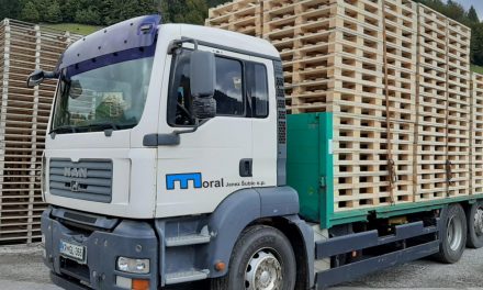 MORAL – lesene palete, izdelava in prodaja
