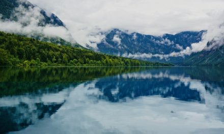 Apartmaji Bohinj