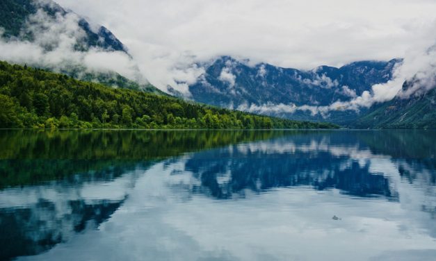 Apartmaji Bohinj