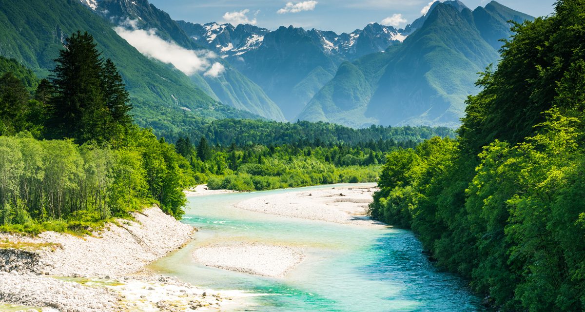 APARTMAJI BOVEC
